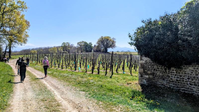 Randonnée : Entre bois et panorama