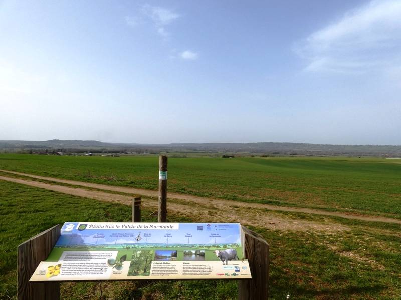 Randonnée : Le chemin de randonnée de Meillant à Tronçais