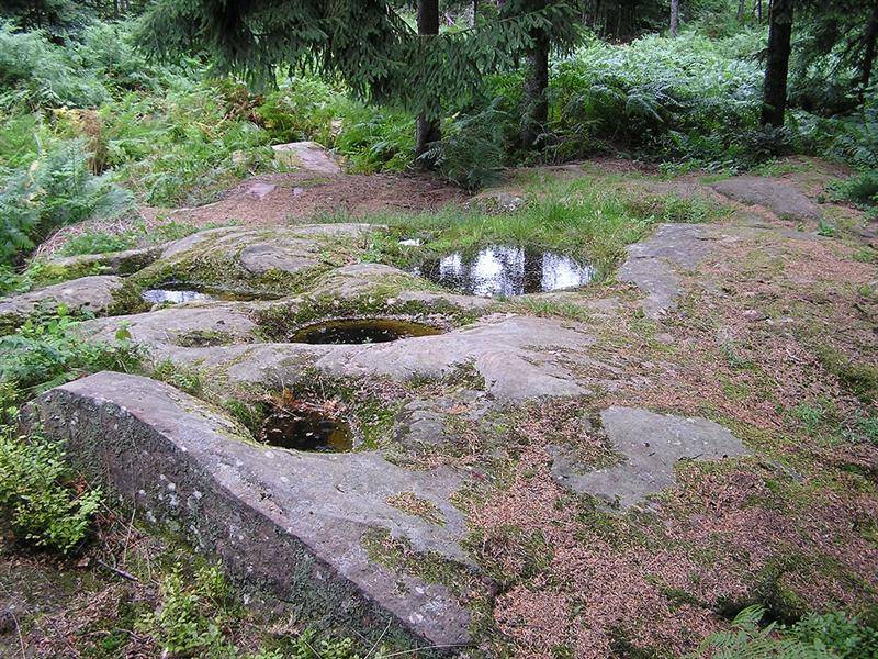 Randonnée : Circuit VTT à la Porte des Vosges - n°2