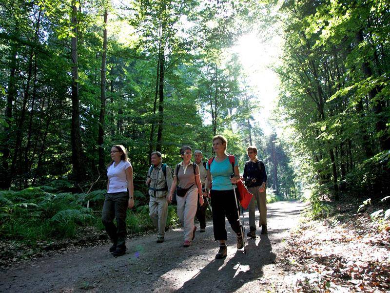 Randonnée : Randonnée entre Riesackberg et Wintersberg