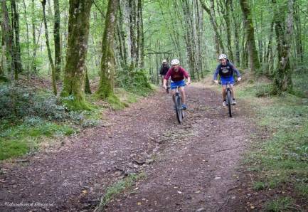 Randonnée : Circuit VTT Naturellement Périgord n°11 rouge