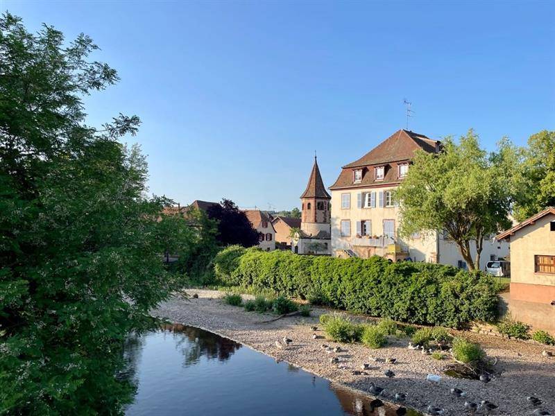 Randonnée : Circuit Croq'vélo Molsheim-Rosheim