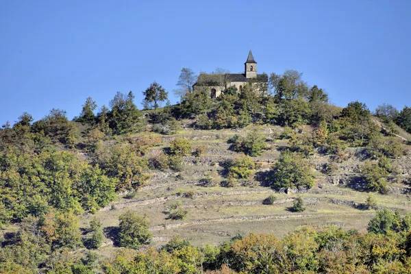 Randonnée : Parcours Trail Le Grand-Mas n° 8