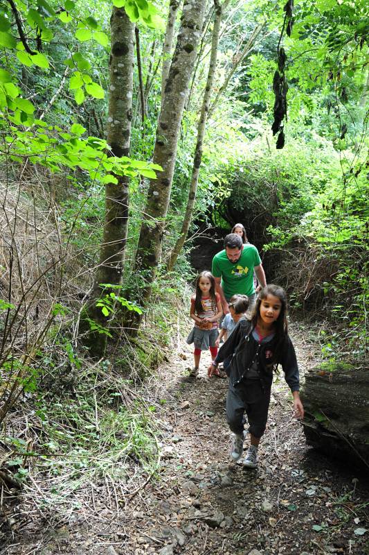 Randonnée : La Fontaine de la Grimaudière et les bois de Melle