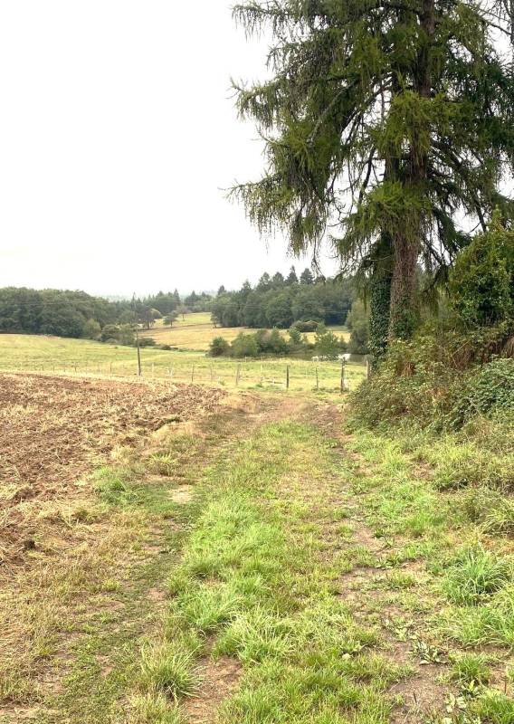 Randonnée : Boucle de l'Albine
