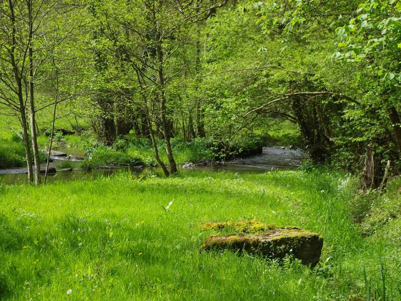 Randonnée : Du Roucamps à la Souleuvre