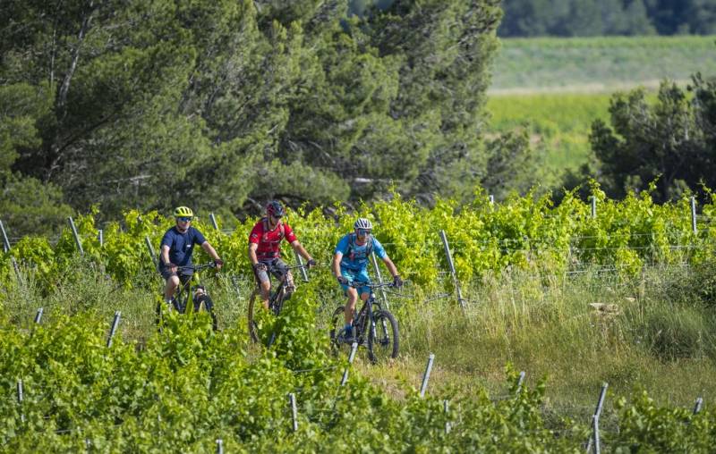 Randonnée : CIRCUIT VTT 4 : LE TOUR DES DOMAINES - ESPACE VTT/GRAVEL CAP D'AGDE MÉDITERRANÉE