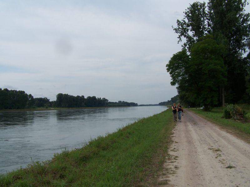 Randonnée : Sentier pédestre : Le circuit du Rhin