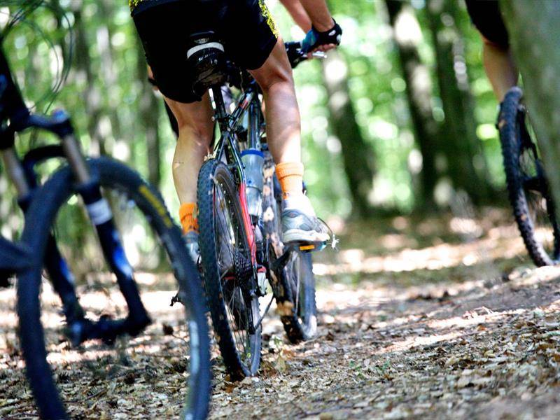 Randonnée : Circuit VTT des Massifs du Wintersberg et du Wasenkoepfel