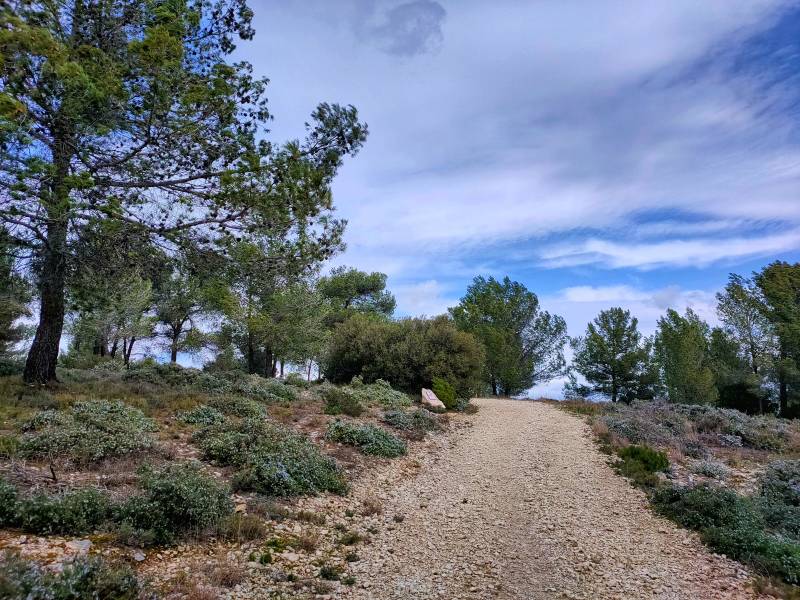 Randonnée : Le Sentier Botanique