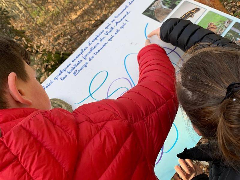 Randonnée : Sentier découverte : la nature et l'eau