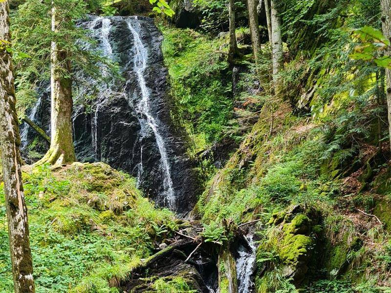 Randonnée : Randonnée Sewen : Chaumes du Langenberg et Wissgrut - Circuit 1