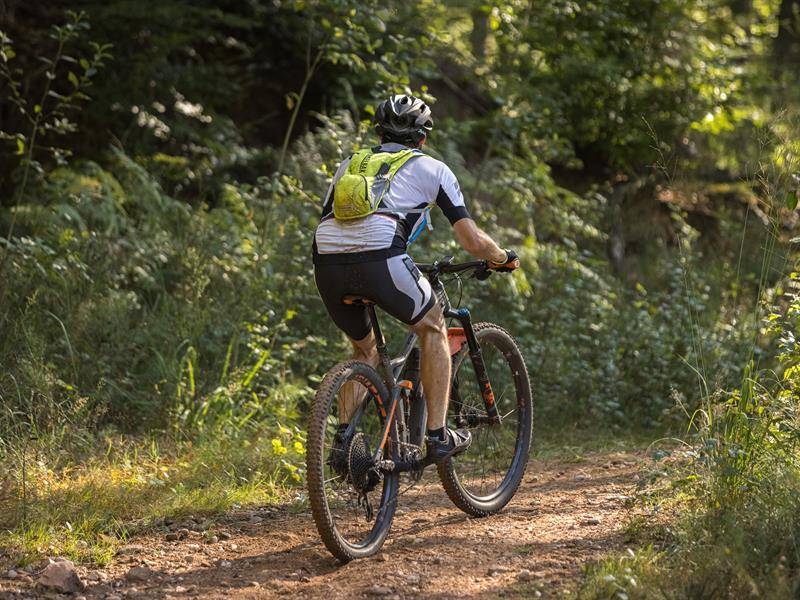 Randonnée : VTT n°10 - La Nar'Vall