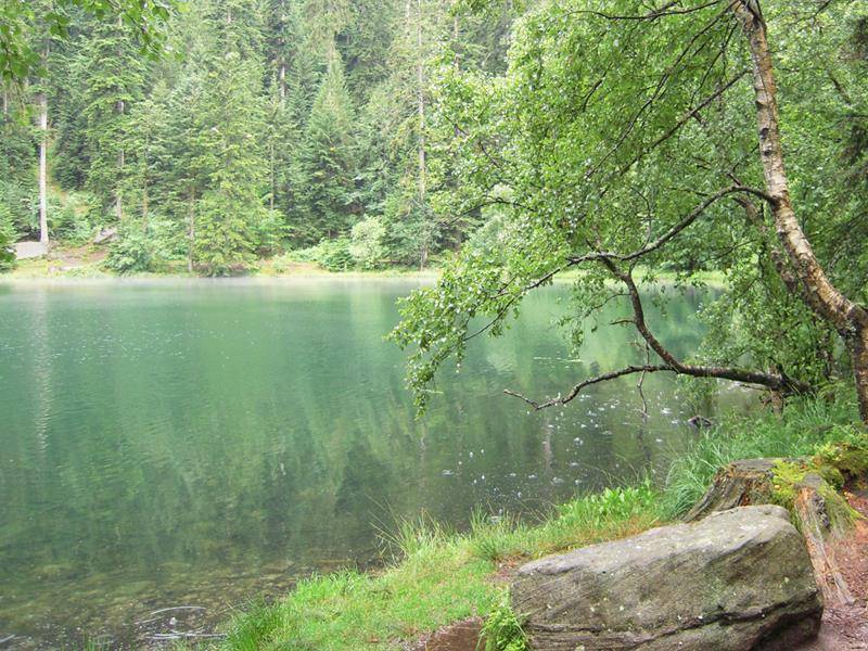 Randonnée : Circuit pédestre - Lac de la Maix (Moussey)