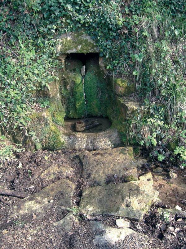 Randonnée : Balade Autour de la Bastide