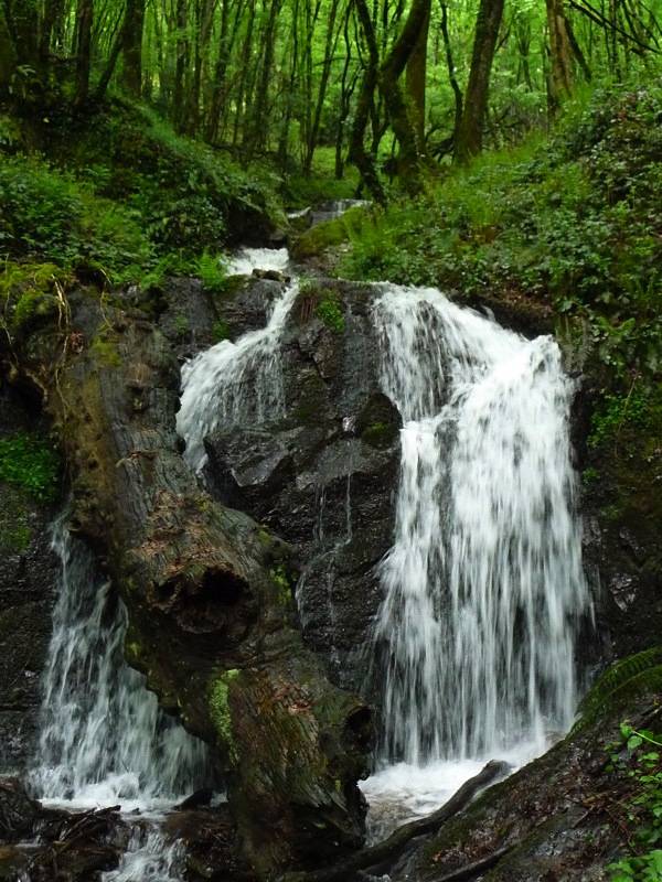 Randonnée : Les Cascades Perdues