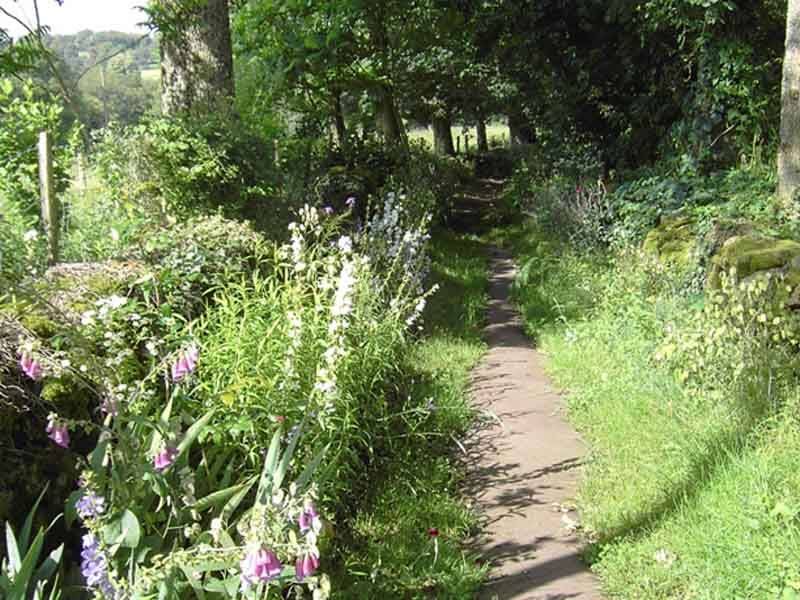 Randonnée : Chemin de l'Osmonde Royale (équestre)