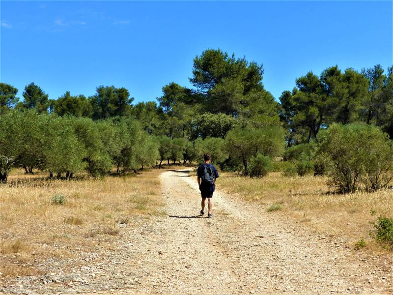 Randonnée : FONTVIEILLE - Les Crottes d'Aubert
