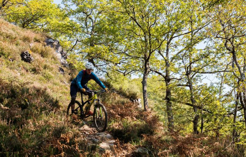 Randonnée : VTT N°31 - Tour Bergout Ichantes Jaupins