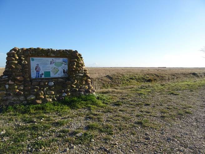 Randonnée : Sentier Peau de Meau, au coeur de la Réserve naturelle nationale des Coussouls de Crau