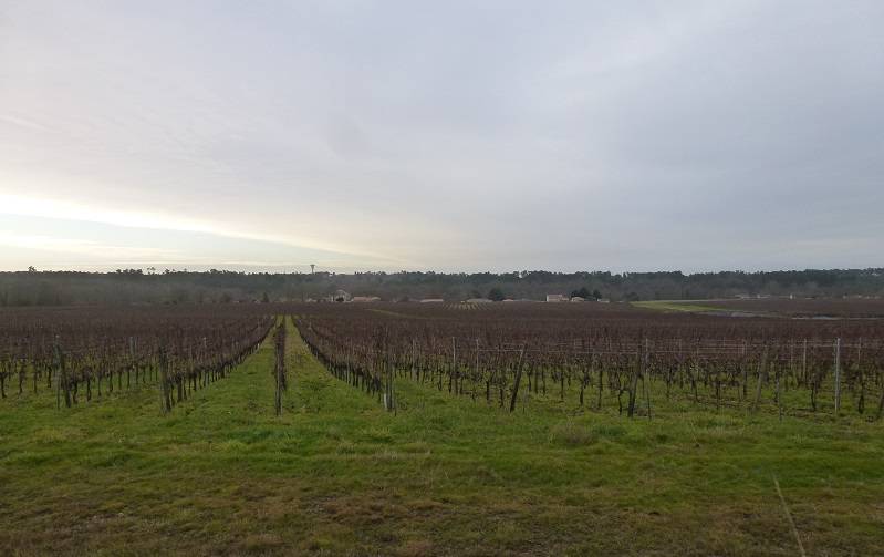 Randonnée : Boucle de Marcillac