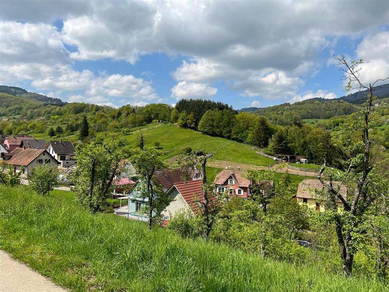 Randonnée : Balade ludique à Maisonsgoutte