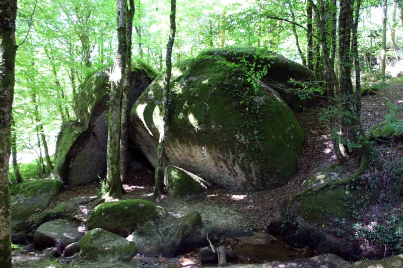 Randonnée : Sentier les Aubespins