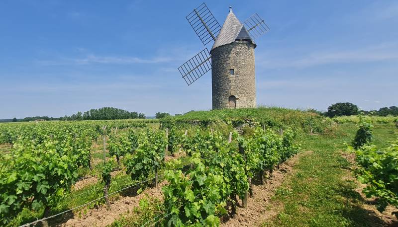 Randonnée : Boucle du Hérisson