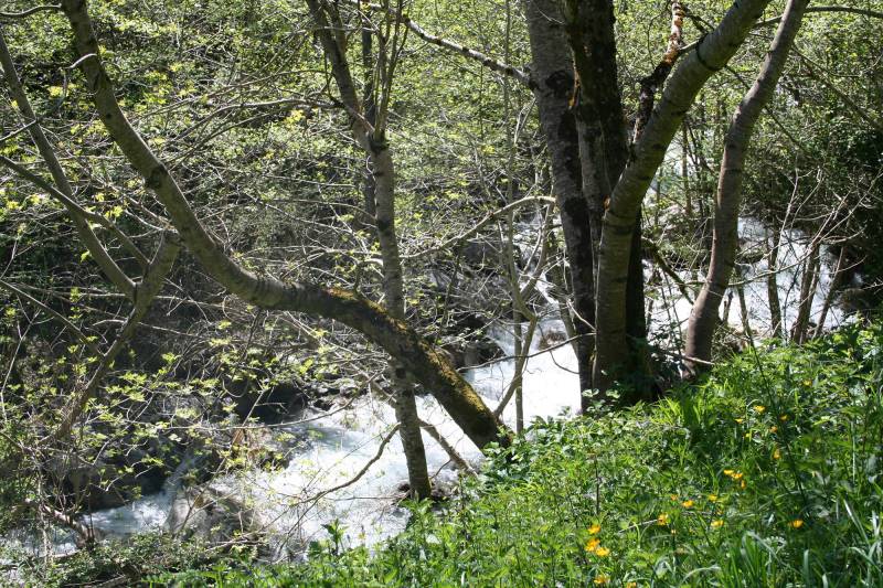 Randonnée : Cascade de Seris