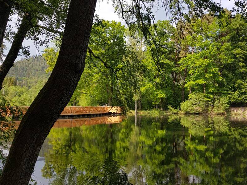 Randonnée : Balade Poussette - Étang de la Ballastière