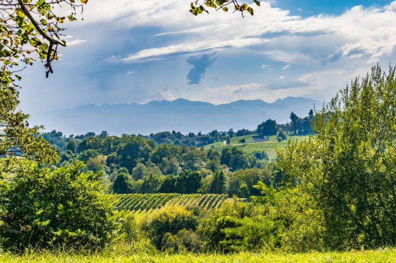 Randonnée : Jurançon - Boucle Monplaisir-Perpignaa