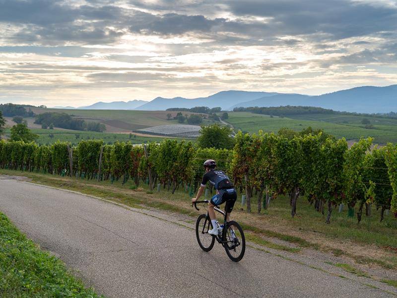 Randonnée : 9.Au fil des Champs - Gravel