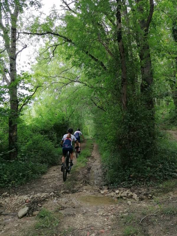 Randonnée : Circuit VTT n°5 - Lusignan-Petit