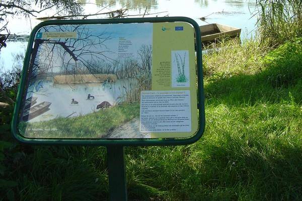 Randonnée : Sentier de l'île des hautes eaux