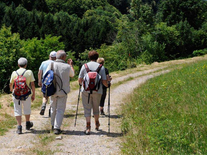 Randonnée : Balade circulaire autour du Grand Wintersberg