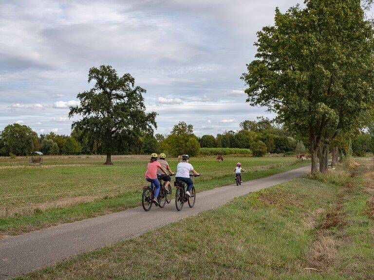 Randonnée : Piste cyclable - Hohengœft / Wasselonne