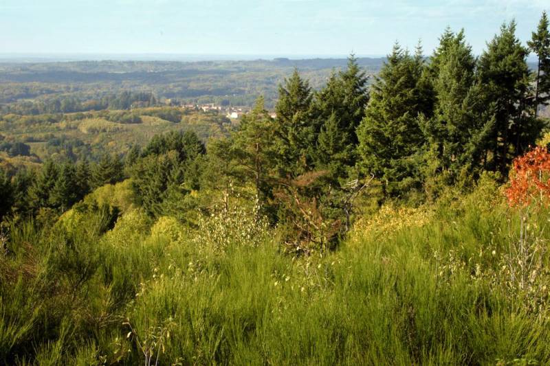 Randonnée : Le sentier des crêtes