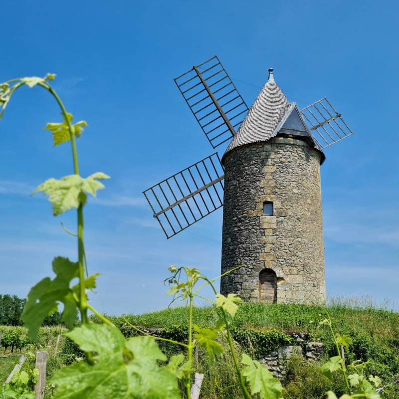Randonnée : Du Lyssandre à l'Engranne