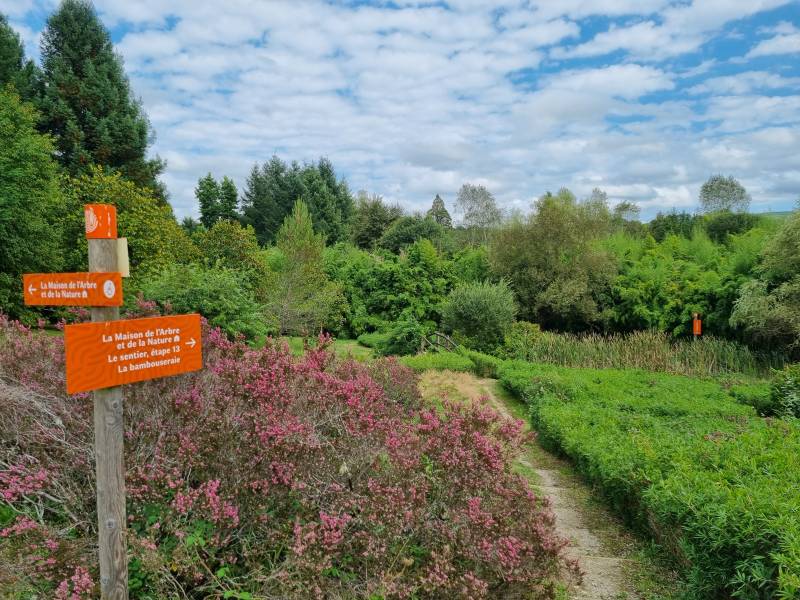Randonnée : Balade Chambertoise