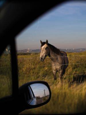 Randonnée : Une traversée buissonnière sur l'ancienne Nationale 7