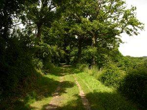 Randonnée : Sentier de mon Dilu