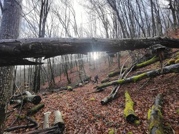 Randonnée : Trail d'Aqui - Lassouts