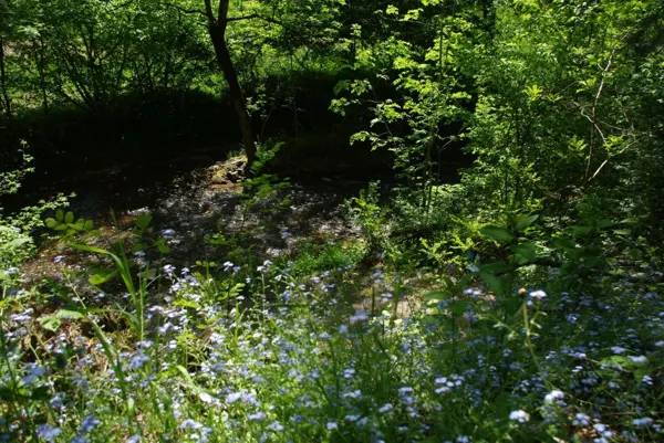 Randonnée : Randonnée "Entre Lézert et Viaur"