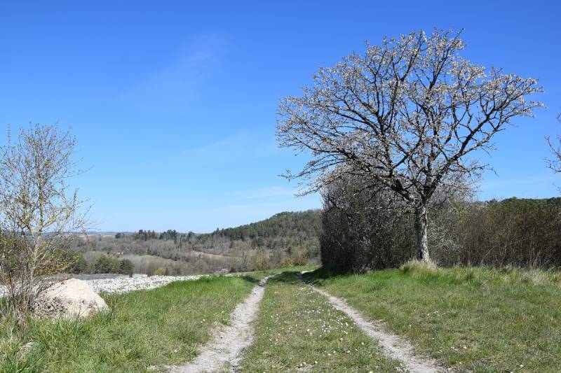 Randonnée : Boucle des Truffières à Montrem