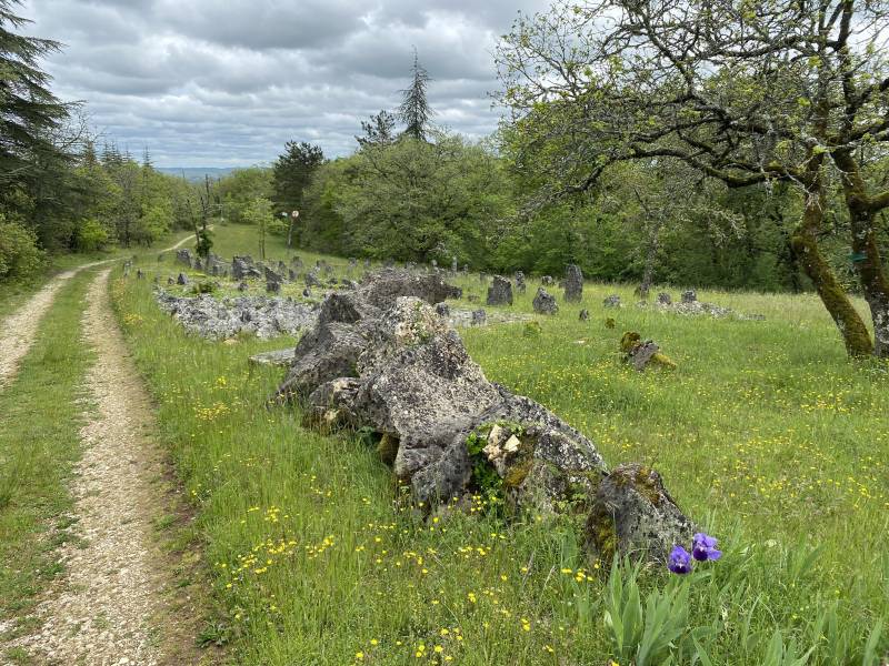 Randonnée : Circuit de Boissièrette