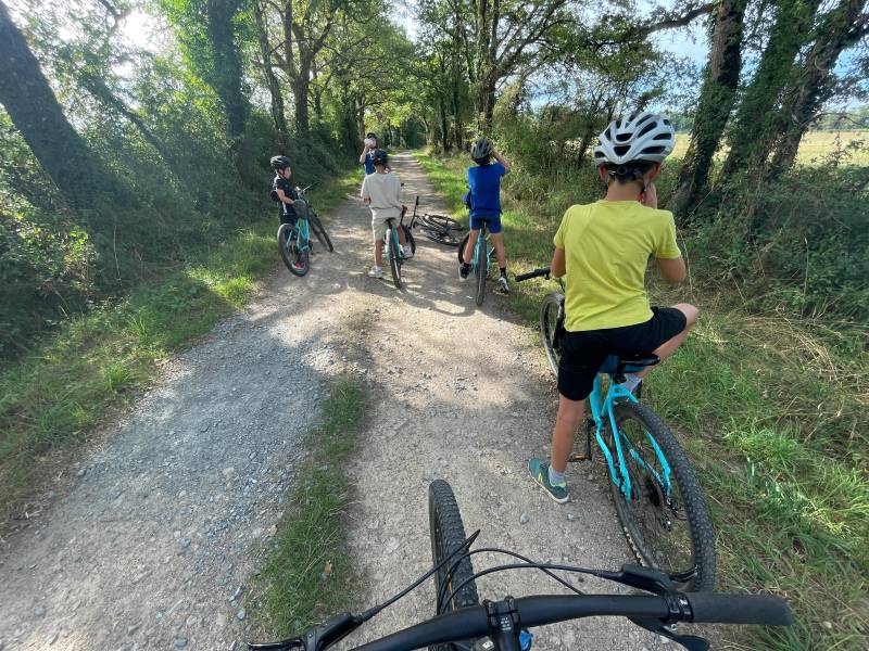 Randonnée : Circuit FFCT Boucle du Peu CPA Lathus