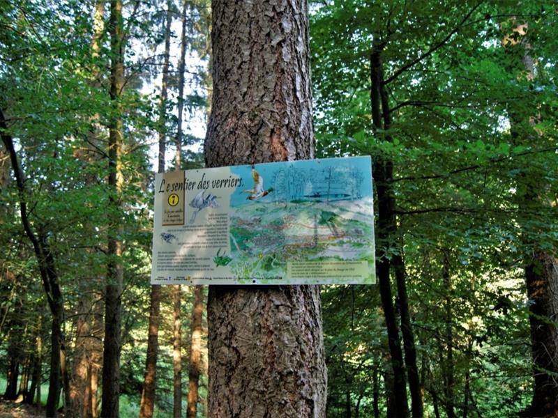 Randonnée : Le sentier des verriers