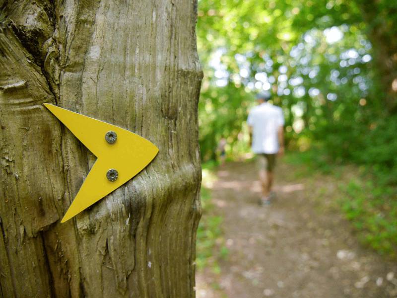 Randonnée : Parcours Tulle Nature : N°3 Maugein