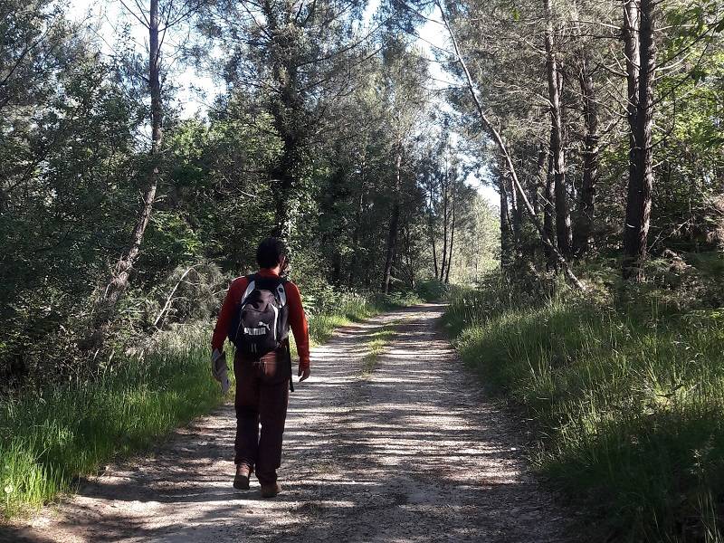 Randonnée : Promenade du Bost