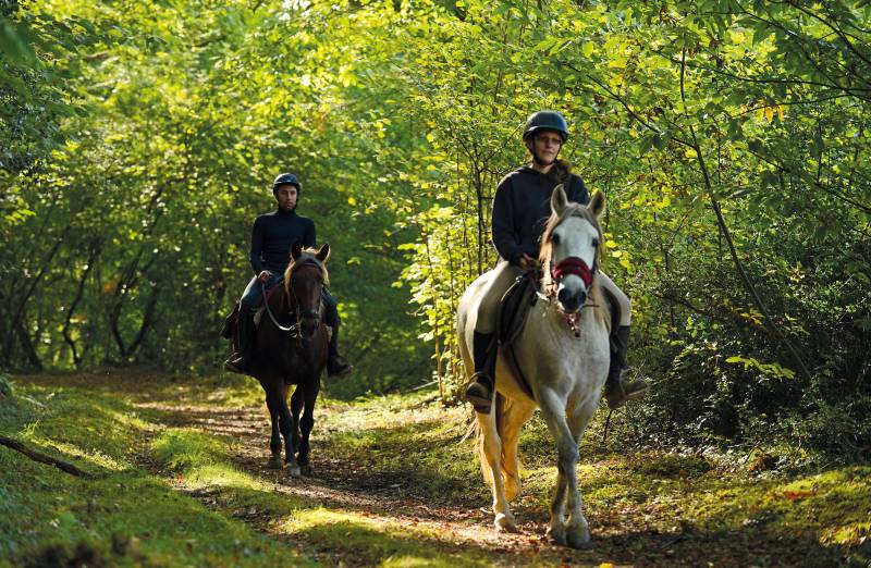 Randonnée : Larreule : les Bénédictins à cheval